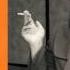 Caro Emerald Riviera Life Feat Giuliano Palma