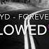 FYD Forever Slowed