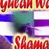 GULAN WARI SEJ WICHHAYE Shaman Ali Mirali New Album 78 2019 2020 Full Hd Video Naz Production