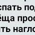 Теща с Зятем Попали на Необитаемый Остров Сборник Свежих Анекдотов Юмор