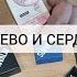 ДЕШЕВЛЕ НЕ БЫВАЕТ БЮДЖЕТНЫЕ ПОКУПКИ ВАЙЛДБЕРИС И ЯНДЕКС МАРКЕТ ОДЕЖДА ОБУВЬ И БИЖУТЕРИЯ С ВБ