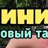 Galibri Mavik Федерико Феллини Танец новый