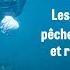 Les Ama San Pêcheuses Chasseuses Et Reines De L Apnée Culture Prime