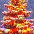 Beautiful Most Popular Christmas Carols Instrumental Christmas Music Hearth And Home Enchanting