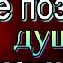 Не позволяй душе лениться Николай Заболоцкий читает Павел Беседин