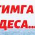 КАЛБЛАРНИ ЛАРЗАГА СОЛГАН МАРУЗА БУНДАЙ ХОТИМАНИ ХАММА ОРЗУ КИЛАДИ