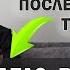 Я перепробовал 30 ниш и все провалились но потом узнав секрет нашёл ту которая окупила всё