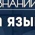 Зачем нам нужен вкус Лекция химика Валентина Новикова