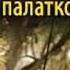 Ганс Шомбург Дикая Африка 2