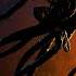 Kraven Boss Fight Ultimate Difficulty Spider Man 2 Gameplay