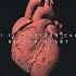 Bitter Heart