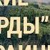 Новое оружие НАТО на фронте Тайные украинские беспилотники Обмен между США и Россией ВЕЧЕР