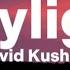 David Kushner Daylight Lyrics