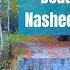 The Beauty Of Existence Nasheed Slowed Reverb Relaxing Meditation Deep And Calm Sleep Soothing