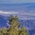 Wildrose Peak Panamint Mountains Death Valley National Park California