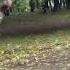 Russia Knife Fight 4K