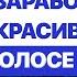 ЕЕ ГОЛОС ВЫ СЛЫШИТЕ КАЖДЫЙ ДЕНЬ АЛЕВТИНА ЛЕОНТЬЕВА