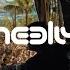 Neelix Full Video Universo Paralello