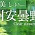 Environmental Sound ASMR Clear Stream Of Fresh Green Shinshu Azumino 4 Hours Healing
