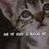 Like A Kitty In The House Music Song