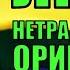 Кто такие люди с нетрадиционной ориентацией Гормональный сбой или влияние пропаганды Юмор 2021