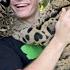 CLOUDED LEOPARD LICKS MY FACE