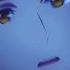 Мосян Тунсю Благословение Небожителей ХуАЛяни идея была но убежала Anime дунхуа новелла