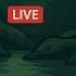 Радио Нейрослоник LIVE Lo Fi Капелька 24 7 Зеленый Слоник Ambient