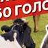Я просто хотела ферму на 50 голов История Татьяны Ивановой Ферма Деревеньки Village