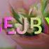 Seky Bejby Official Lyric Video