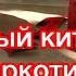 Бинлан кит 槟榔 легальный наркотик юга Китая