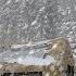 TENT CAMP WITH STOVE IN HEAVY SNOWFALL Stuck On The Road 365gündoğadayiz