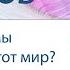 Зачем мы приходим в этот мир Александр Хакимов