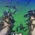 Where The Fish That Clean People S Feet Go Do They Become Food Viralvideo Viralshort Shortsfeed