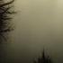The Gods That Crawl Lofi Dark Ambient