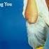 Modern Talking Youre My Heart Morden Talking Songs 2022