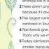 Smiles 4 Module 6 P93 Ex28 Did You Know Rainforests Facts