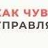 Чувство вины Магнит наказания Разница между Совестью и Чувством вины