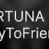 FORTUNA 812 TryToFriend Текст песни