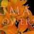 When Flowers Bloom Enigma Sax Chillout Music For The Soul Relax