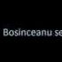 Bosinceanu Cel Glumet