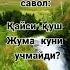 Исломий савол жавоблар Уз билимингизни синаб куринг аллах ислам исломий рекомендации саволжав