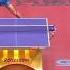 WTTC Zhang Jike Timo Boll