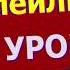 Немецкий язык по плейлистам с нуля Урок 295 Doppelkonjunktion Sowohl Als Auch Übung