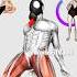 Quick And Effective Kegel Exercise For Men Improve Strength Stamina Physiocare Stamina Fyp