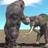 Goro Vs Elephant