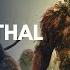 Neanderthal Ancient Human AudioBook Human Evolution Ancient Humans