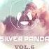 Silver Panda Melodic Sessions Vol 6