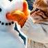A Snow Fight Between Rizzler Cats