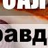 Ешьте сало регулярно вся правда о любимом продукте